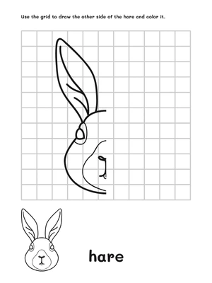 Develops early math skills